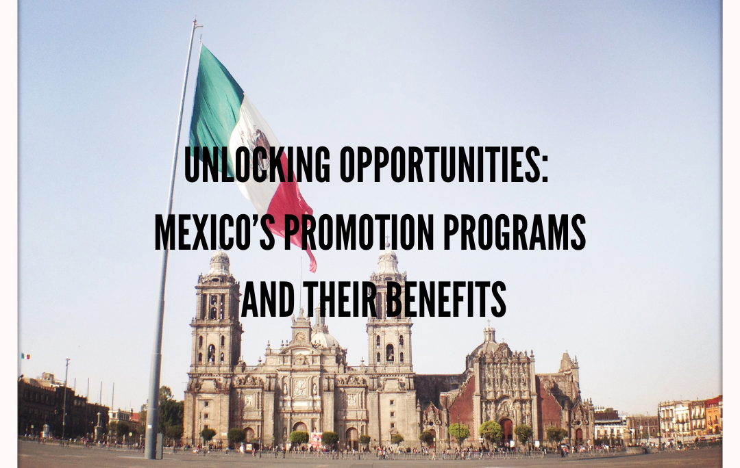Unlocking Opportunities: Mexico’s Promotion Programs and Their Benefits